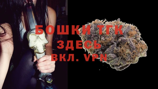 прущие грибы Билибино