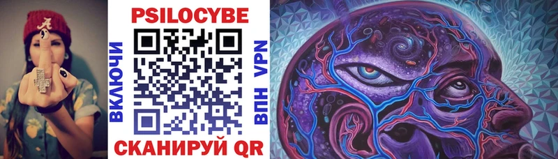 цена наркотик  Шумиха  Галлюциногенные грибы Psilocybine cubensis 